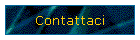 Contattaci